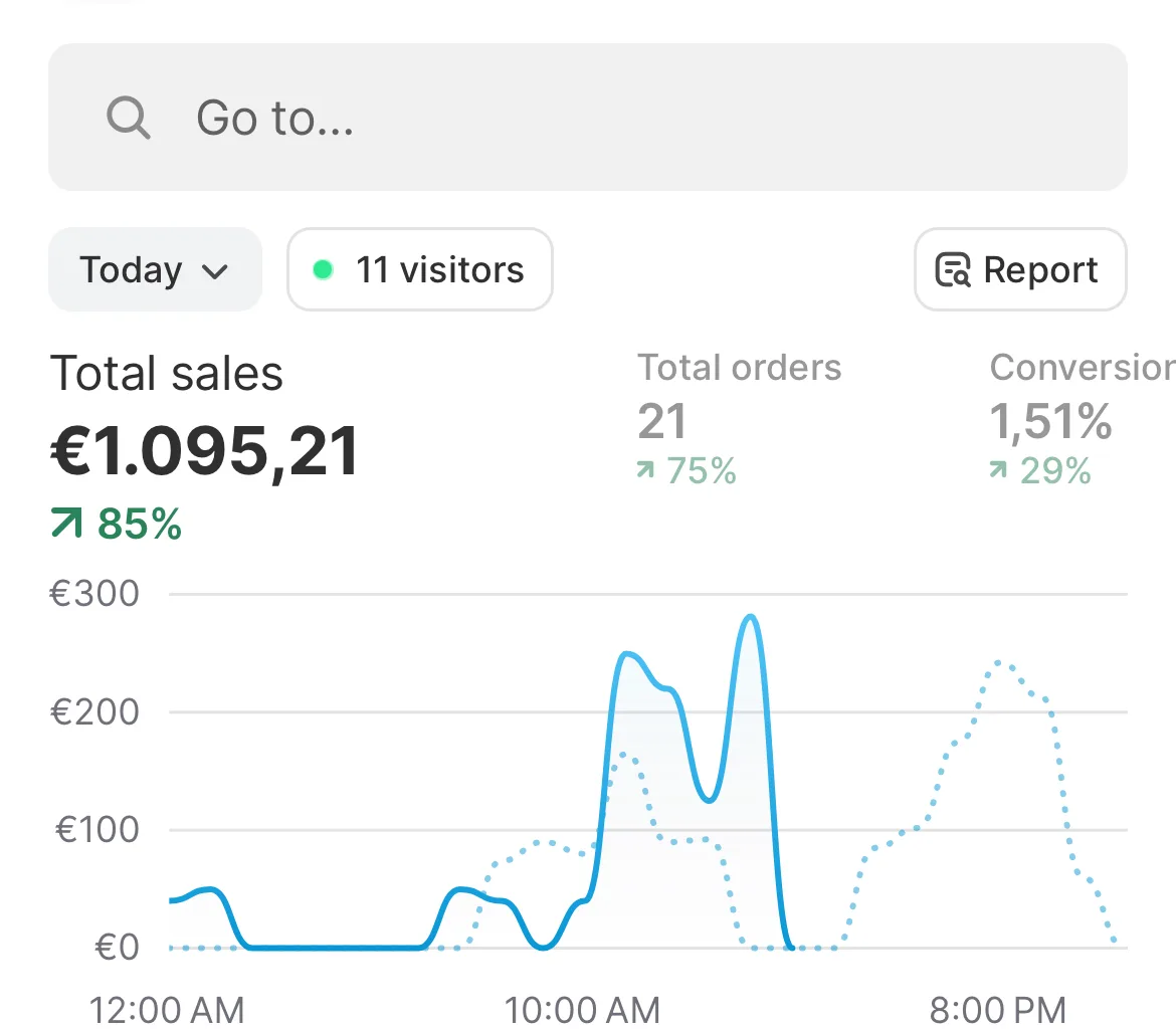 Store dashboard screenshot: 1,095 euros of sales in one day
