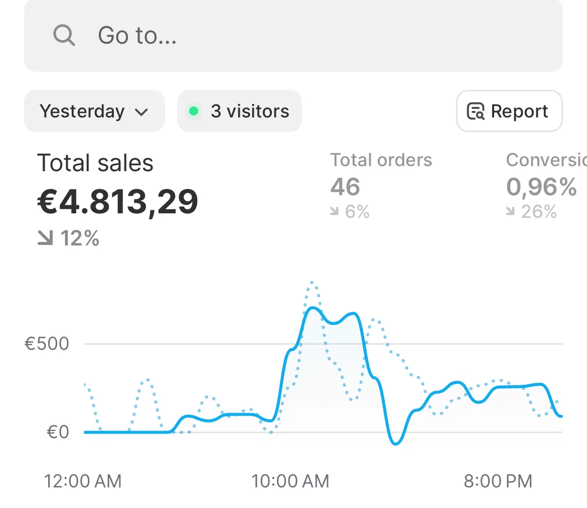 Store dashboard screenshot: 4,813 euros of sales in one day